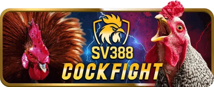 Hoàn trả cược five88